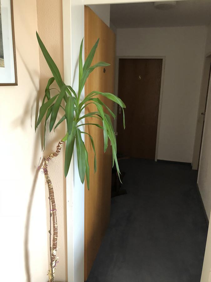 באד זאלצפלן Hotel Junkerhaus מראה חיצוני תמונה